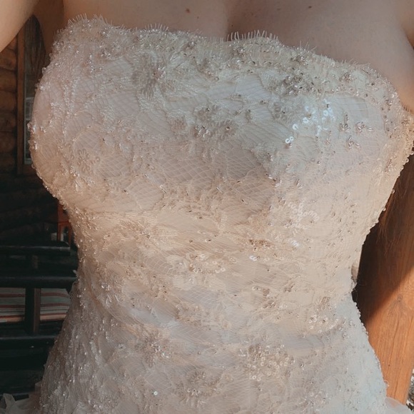 David’s Bridal Wedding Dress - Picture 5 of 12